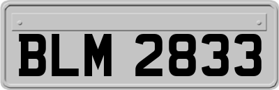 BLM2833