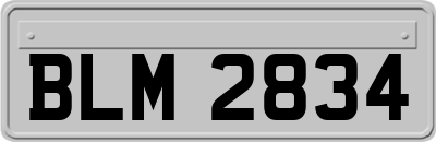 BLM2834