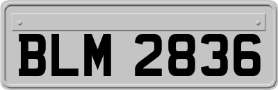 BLM2836