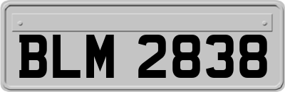 BLM2838