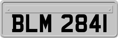 BLM2841