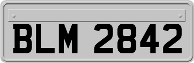 BLM2842