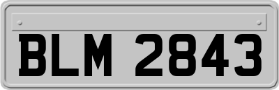 BLM2843