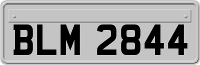 BLM2844