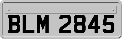 BLM2845