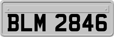 BLM2846