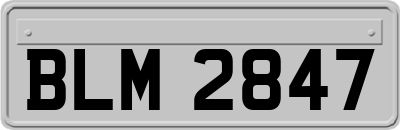 BLM2847