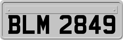 BLM2849