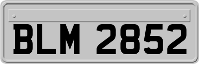 BLM2852