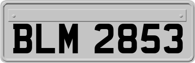 BLM2853