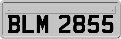 BLM2855