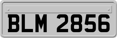BLM2856