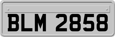 BLM2858
