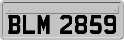BLM2859