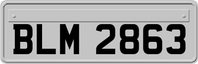 BLM2863