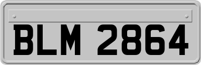 BLM2864