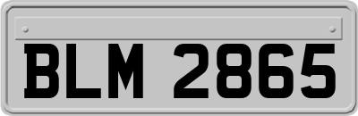 BLM2865