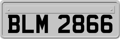 BLM2866