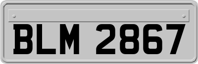 BLM2867