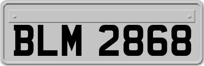 BLM2868