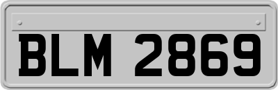 BLM2869
