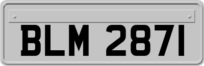 BLM2871