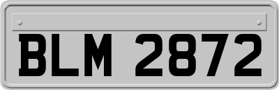 BLM2872