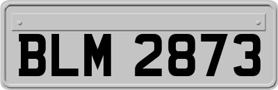 BLM2873