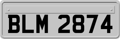 BLM2874