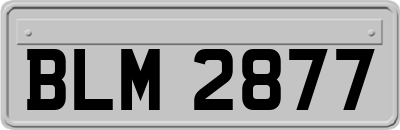 BLM2877