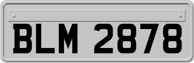 BLM2878