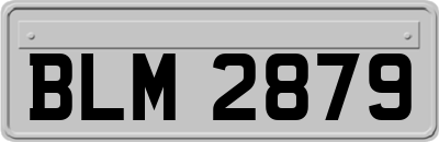 BLM2879