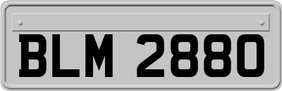 BLM2880