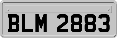 BLM2883