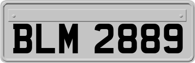 BLM2889