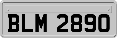 BLM2890