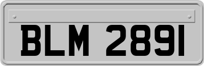 BLM2891