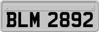BLM2892