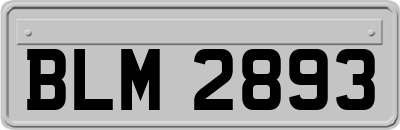 BLM2893