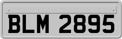 BLM2895