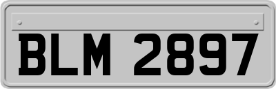 BLM2897