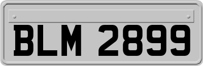 BLM2899