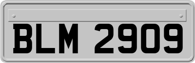 BLM2909