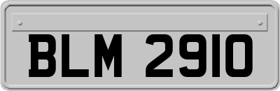 BLM2910