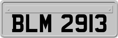 BLM2913