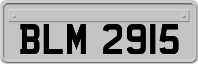 BLM2915