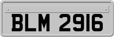BLM2916