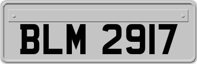 BLM2917