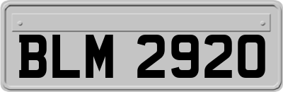 BLM2920