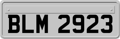BLM2923